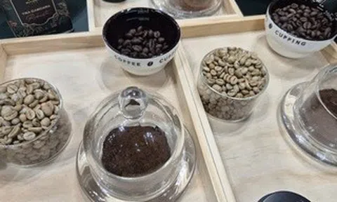 Giá cà phê hôm nay, 30-4, giảm nhẹ; Starbucks có gần 8.000 cửa hàng tại Trung Quốc