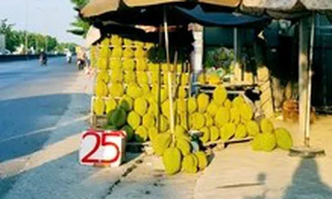 Sầu riêng rớt giá, bày bán đầy đường chỉ từ 25.000 đồng/kg