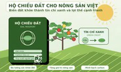 'Năm nay đất có khỏe không'?