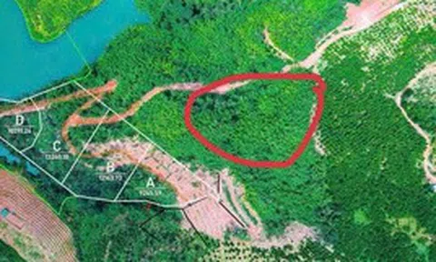 Tin vui cho người mua "đất giấy tay" trước 2024