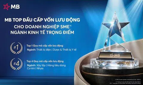 MB – Ngân hàng  top đầu Cấp vốn lưu động cho doanh nghiệp SME thuộc ngành kinh tế trọng điểm