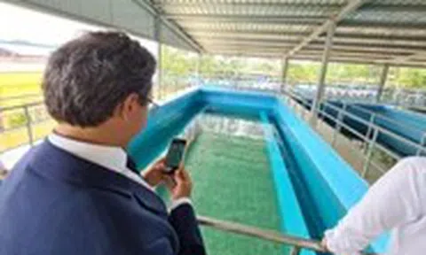 TP.HCM thành lập 5 công ty cấp nước công suất 800.000 m3/ngày đêm