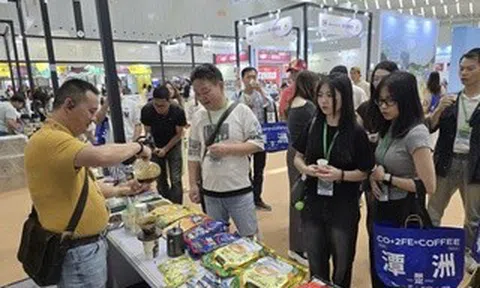 Sức hút của thị trường cà phê Trung Quốc