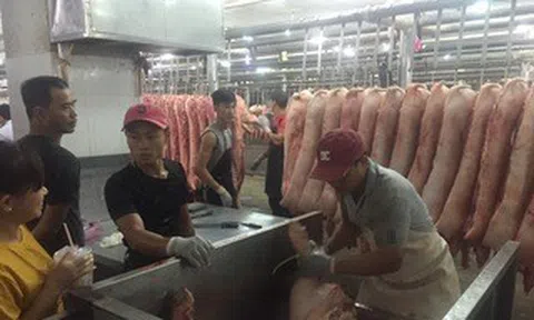 Giá heo hơi hôm nay, 19-5: Tăng ở chợ đầu mối