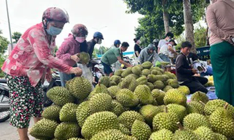Sầu riêng lấy lại đà tăng giá
