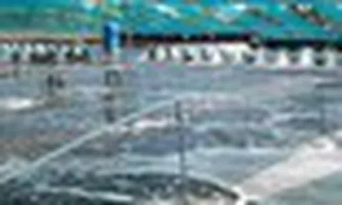Không phải đất hiếm hay sầu riêng, một mỏ vàng của Việt Nam vừa mang về 1,5 tỷ USD: Mỹ, Trung Quốc đều là ‘khách ruột’, nước ta xuất khẩu đứng thứ 3 thế giới