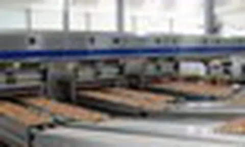 “Cỗ máy” sản xuất 1 triệu quả trứng/ngày của tỷ phú Trần Đình Long: Nuôi 1,2 triệu con gà, vận hành bằng robot châu Âu