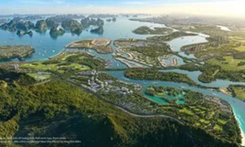 Tỷ phú Phạm Nhật Vượng "chơi lớn': Quyết huy động 500 tấn vàng trong dân bằng chương trình chuyển đổi chưa từng có, cam kết người tham gia chỉ có lợi lớn