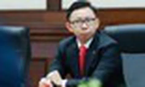Con trai tỷ phú Phạm Nhật Vượng làm Chủ tịch HĐQT VinFast