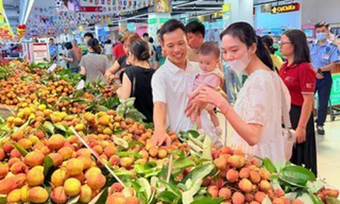 Một siêu thị "chốt đơn" vải thiều Bắc Ninh, muốn tăng gấp đôi sản lượng tiêu thụ