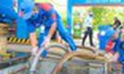Xăng sinh học E10 tại Việt Nam được phối trộn và kiểm định như thế nào?