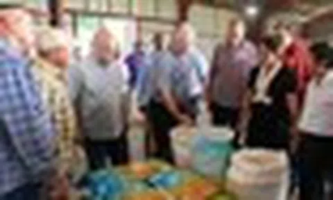 Cuba áp dụng 'bí quyết' trồng lúa của Việt Nam, thu kết quả khiến lãnh đạo bất ngờ