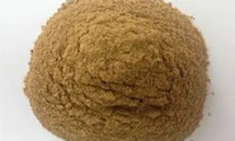 Việt Nam lý giải quy định kiểm tra tạp nhiễm ADN bột xương động vật nhập khẩu