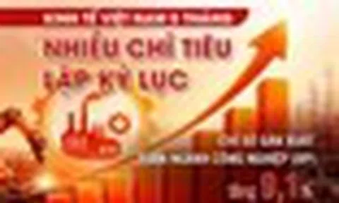 Kinh tế Việt Nam 5 tháng: Nhiều chỉ tiêu lập kỷ lục