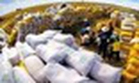 Việt Nam đón tin vui từ mặt hàng xuất khẩu chủ lực: Sản phẩm cao cấp ngày càng được ưa chuộng