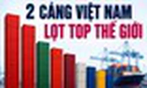 Tự hào: Hai cảng container Việt Nam đứng Top hiệu quả nhất toàn cầu