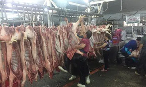 Giá heo hơi hôm nay, 14-6: Chợ đầu mối quay đầu tăng