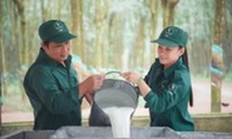 VRG hiện thực hóa mục tiêu tăng trưởng hai con số