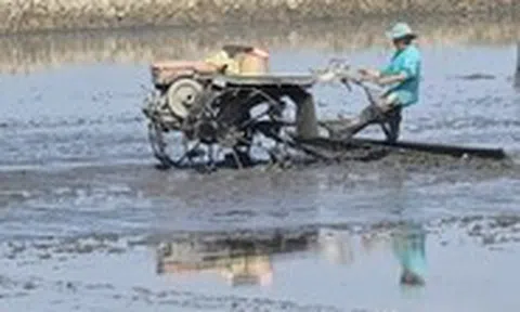 Cần Thơ đề xuất hỗ trợ doanh nghiệp đầu tư vào nông nghiệp, nông thôn