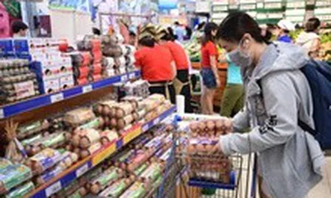 Giá trứng giảm sâu, người chăn nuôi lỗ nặng nhưng giá tại siêu thị vẫn neo cao