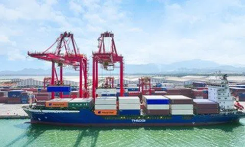 THILOGI tăng tần suất tuyến vận tải biển nội địa