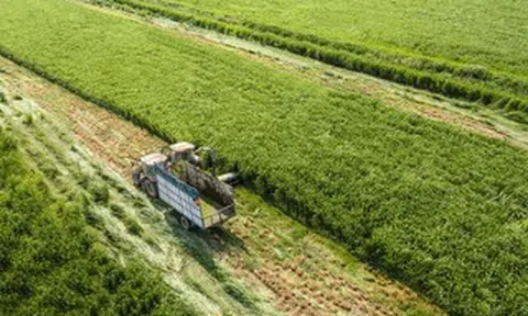Vinamilk khẳng định vị thế thương hiệu sữa Việt