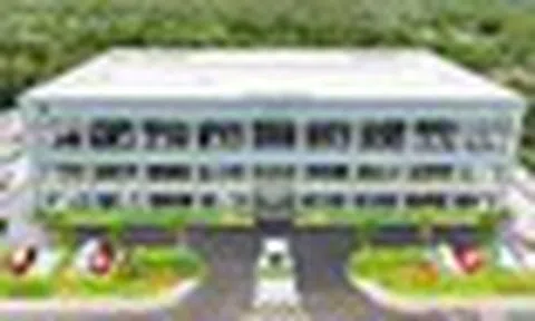2 doanh nghiệp của THACO bị Bộ Thương mại Mỹ áp thuế chống bán phá giá 186,84%