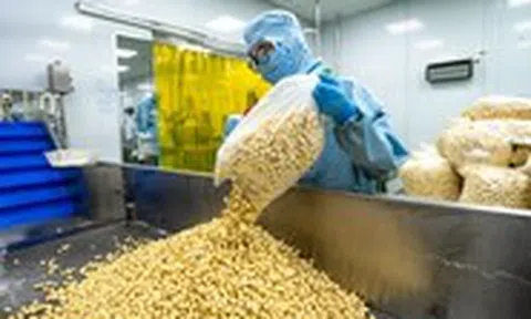Từ bỏ tư duy "phế phẩm, phụ phẩm" từ nông sản