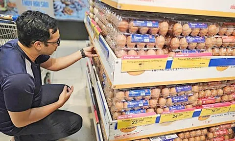 Giá trứng gà tăng trở lại, nhưng người chăn nuôi vẫn đang lỗ