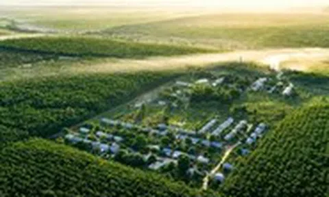 VRG bước vào chu kỳ tăng trưởng mới bằng đổi mới và phát triển xanh