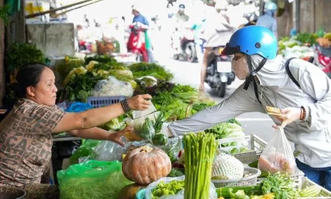 Thị trường TP.HCM ngày 25-6: Mưa nhiều khiến giá nhiều loại rau củ tăng