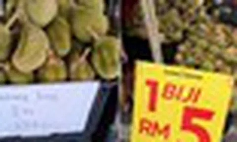 Chuyện gì đang xảy ra tại quốc gia ‘sầu riêng vua’ của Đông Nam Á: Giá giảm còn 3.000 đồng/quả, nông dân gặp áp lực