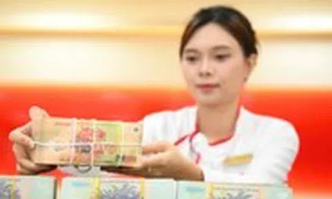 Chính phủ: Điều hành tiền gửi của Kho bạc Nhà nước để hỗ trợ vốn ngắn hạn cho nền kinh tế