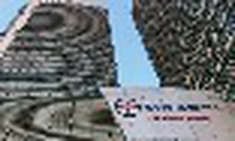 3.593 nhân viên công ty mẹ EVN nhận lương trung bình gần 480 triệu đồng/năm, đủ mua hơn ba cây vàng