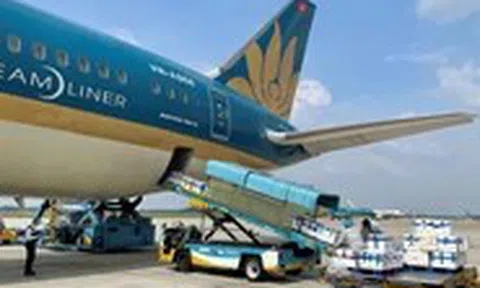 Hãng bay Việt chuẩn bị máy bay riêng cho cuộc đua vận tải hàng hóa