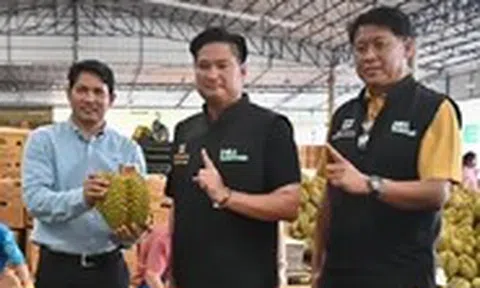 Sầu riêng Thái Lan lập kỷ lục xuất khẩu sang Trung Quốc, nhờ đâu?