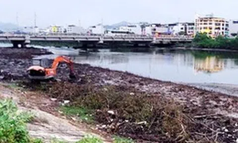 Đã chặt bỏ một phần dãy cây gây cản thoát lũ ở dự án hơn 593 tỉ đồng tại Nha Trang