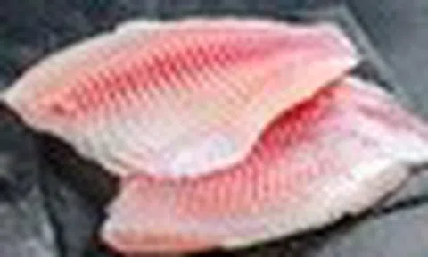 Người Nhật sắp được thưởng thức sushi cá rô phi phi lê nhập khẩu từ Việt Nam