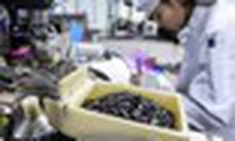Cùng Nhật Bản, Việt Nam lập nhóm công tác khai thác “mỏ vàng nghìn tỷ USD”, 4 ĐH trọng điểm là thành viên
