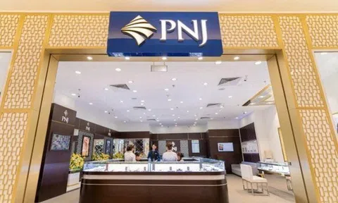 PNJ xuất hiện nhóm cổ đông lớn nước ngoài, sở hữu hơn 5% vốn
