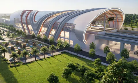 Chuyên gia: “Quyết định đầu tư vào Cần Giờ cần tính theo giờ chứ không phải theo tuần, theo tháng hay theo năm”