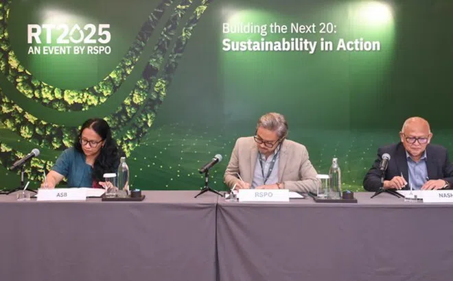 RSPO, NASH và ASB United hợp tác để tăng cường sức mạnh cho các hộ nông dân nhỏ của Malaysia và thúc đẩy sản xuất dầu cọ bền vững