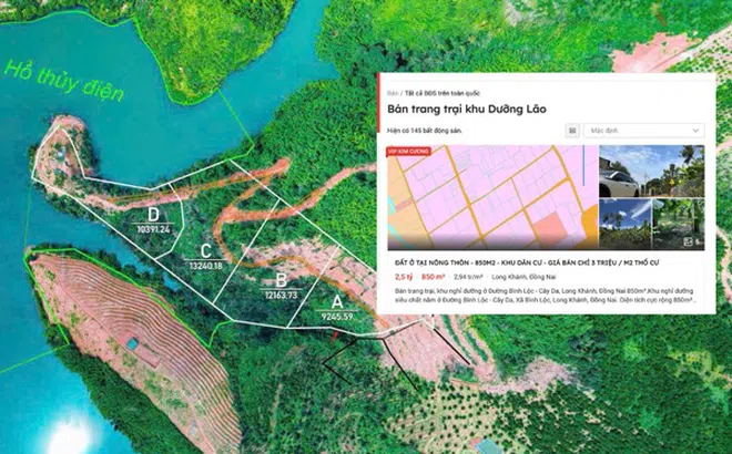 Rục rịch săn đất làm khu dưỡng lão