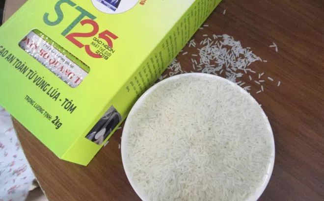Gạo ST 25 lần thứ 3 thắng giải "gạo ngon nhất thế giới"