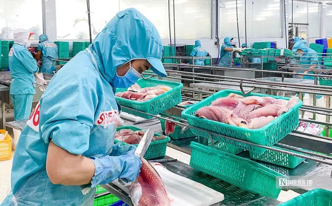 Doanh nghiệp thủy sản bứt phá sau giai đoạn trầm lắng