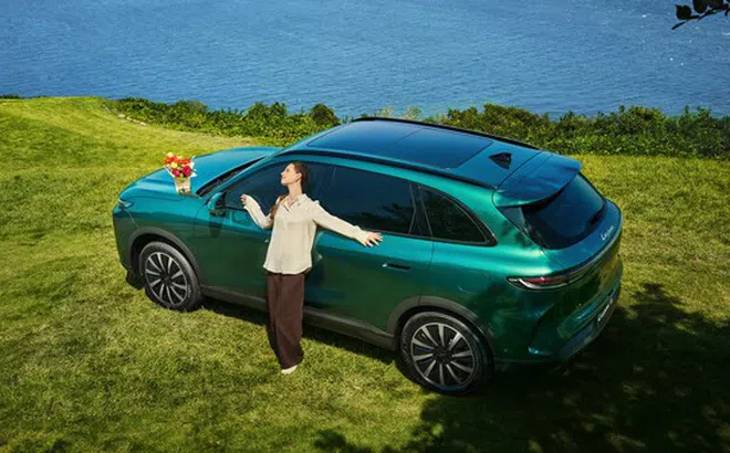 Tại thời điểm then chốt trong quản lý khí hậu toàn cầu, LEPAS thể hiện trách nhiệm xanh của Trung Quốc thông qua sự thanh lịch bền vững