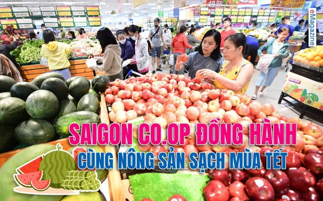 Saigon Co.op đồng hành cùng nông sản sạch mùa Tết
