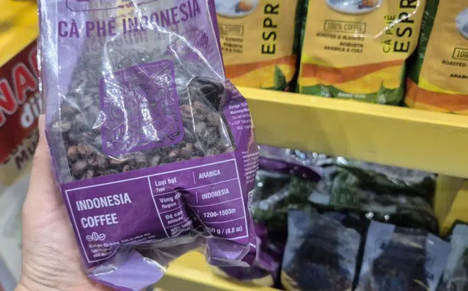 Giá cà phê hôm nay 29-12: Vì sao Việt Nam chi hơn nửa tỉ USD nhập cà phê?