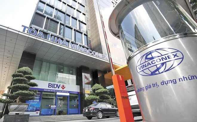 Cổ đông Vinaconex "xếp hàng" chờ xả hơn 17 triệu cổ phiếu VCG