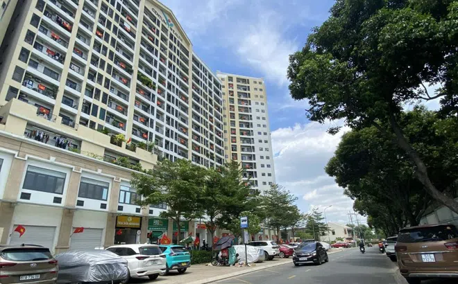 Minh bạch, chuẩn hóa hoạt động nhà chung cư